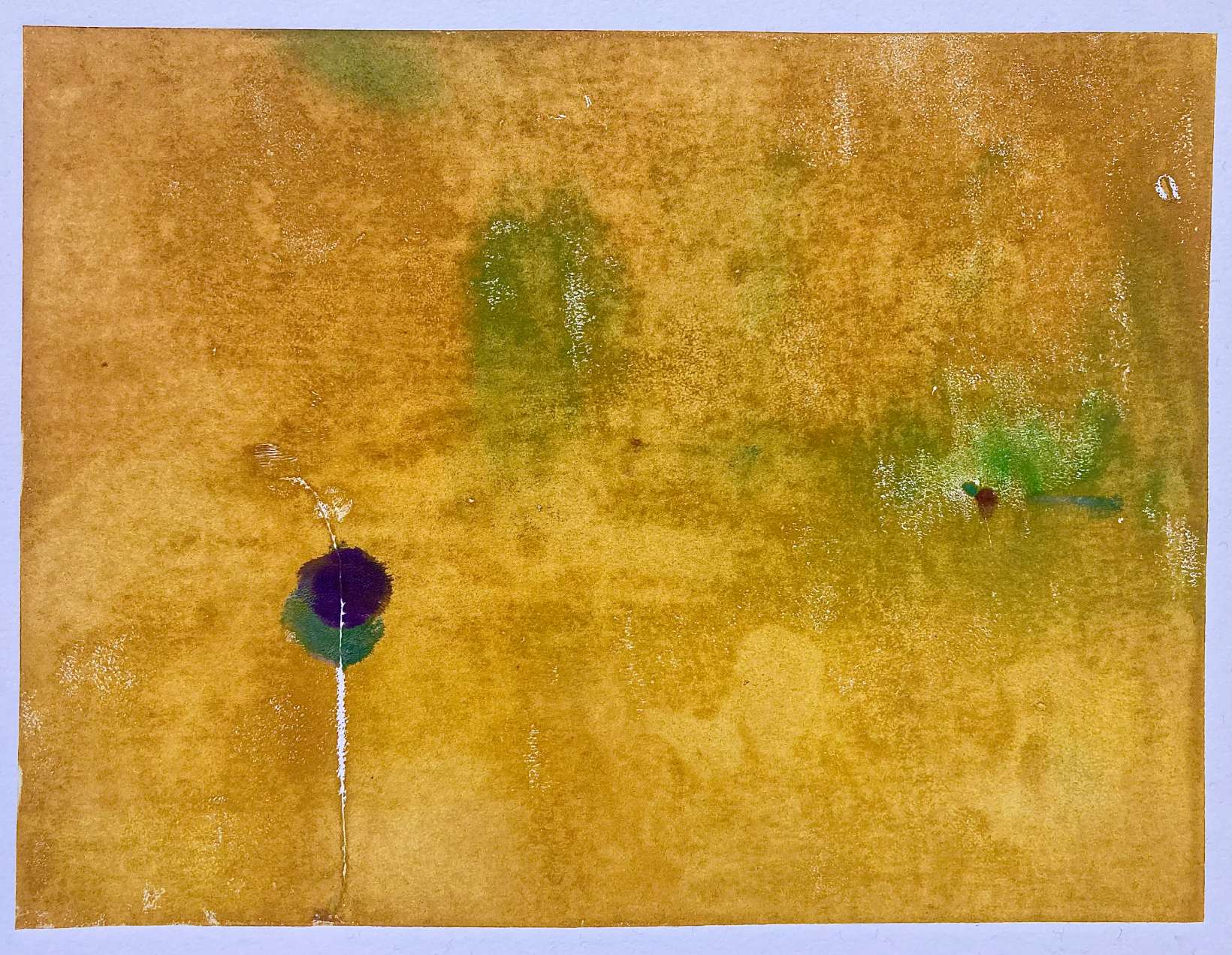 Elszíneződés Sólyom Sára Archivált nyomok című kiállításához