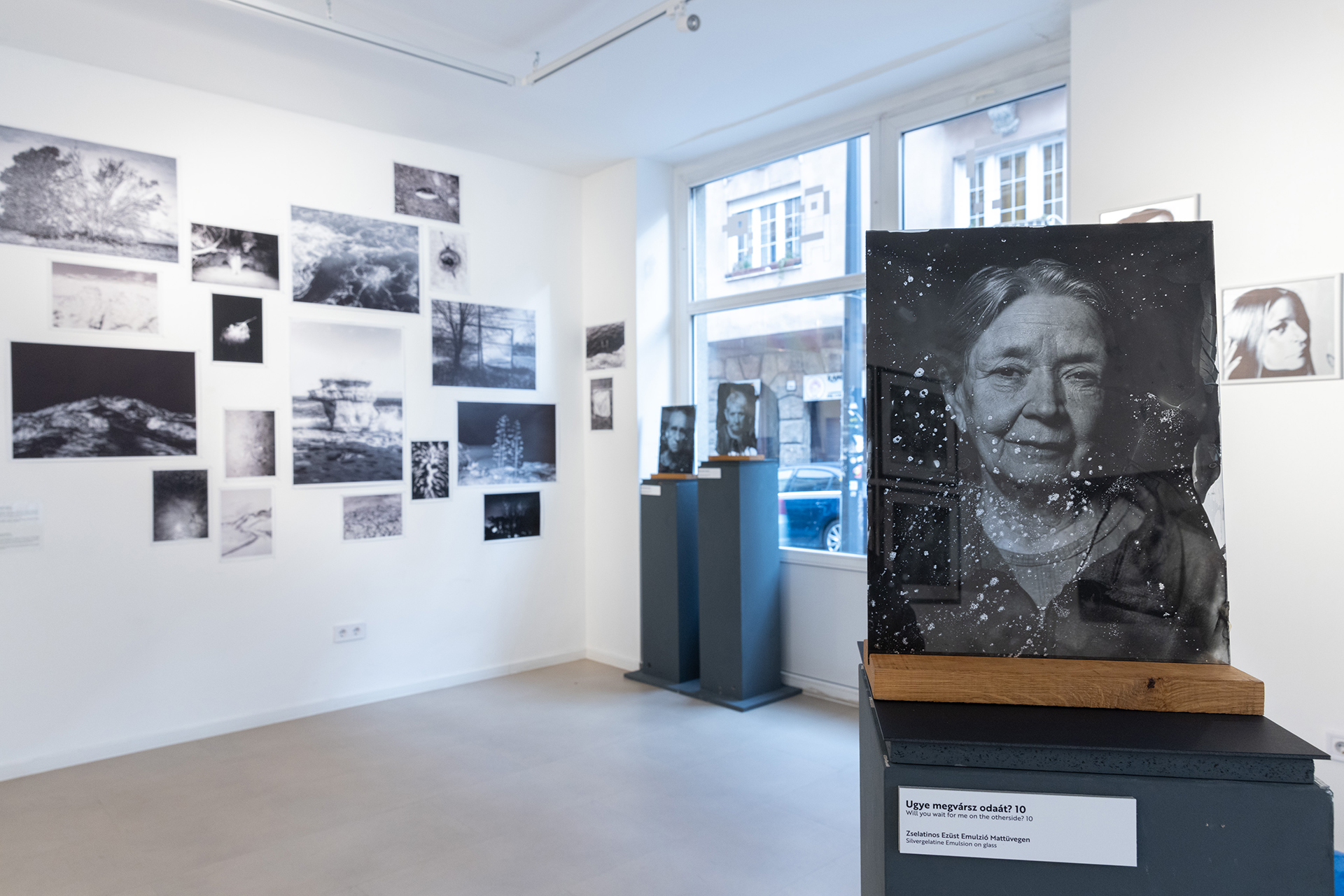 A képmutatás vége Fresh Meat 2026